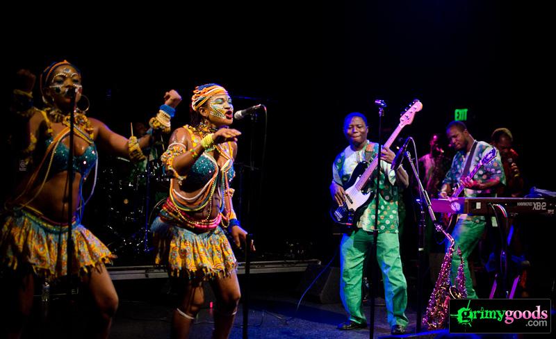 Femi kuti and the positive force photos el rey