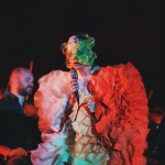 Björk at FYF 2017 by Steven Ward