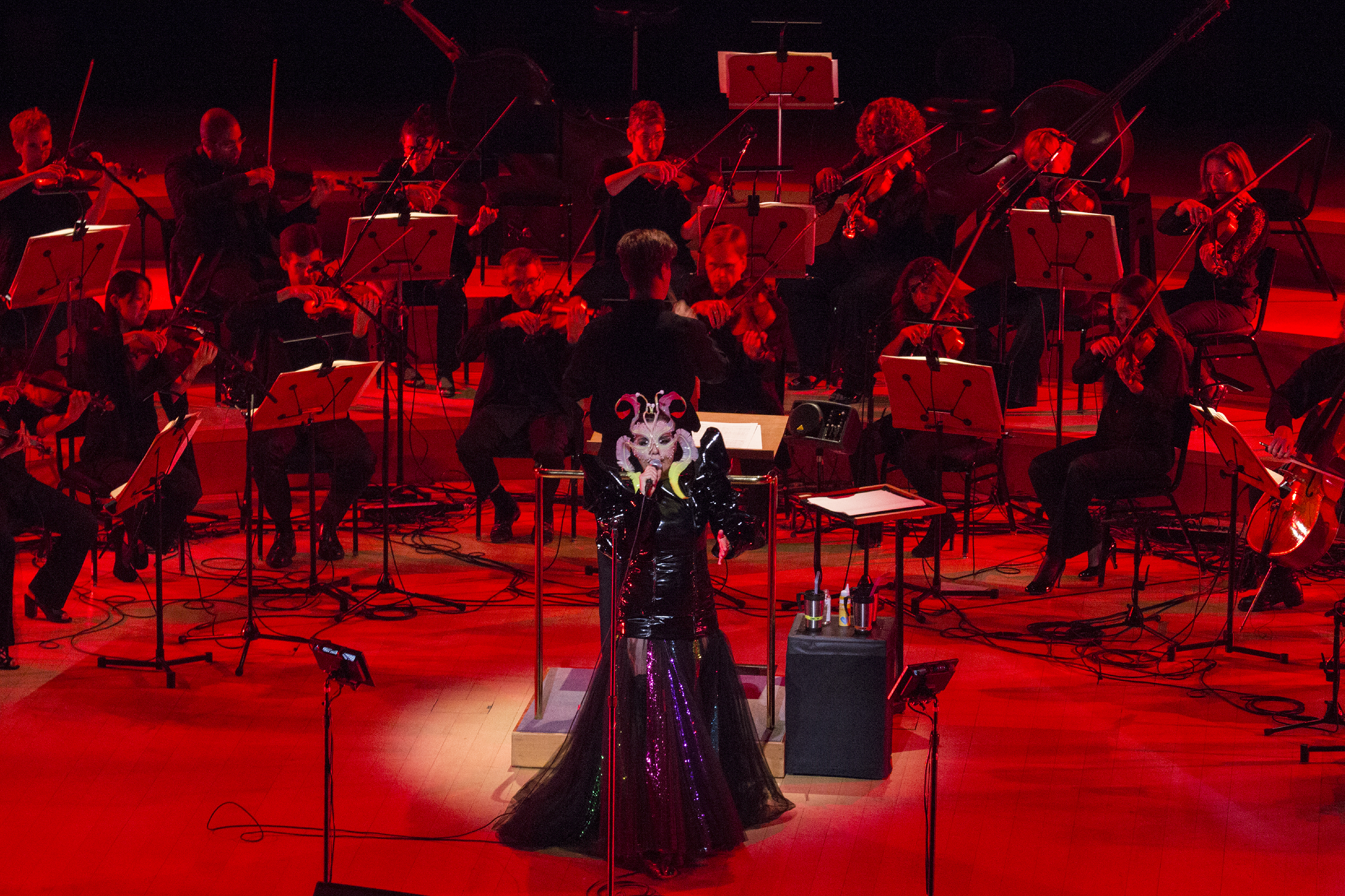 Björk at Walt Disney Concert Hall -- Photo: Santiago Felipe