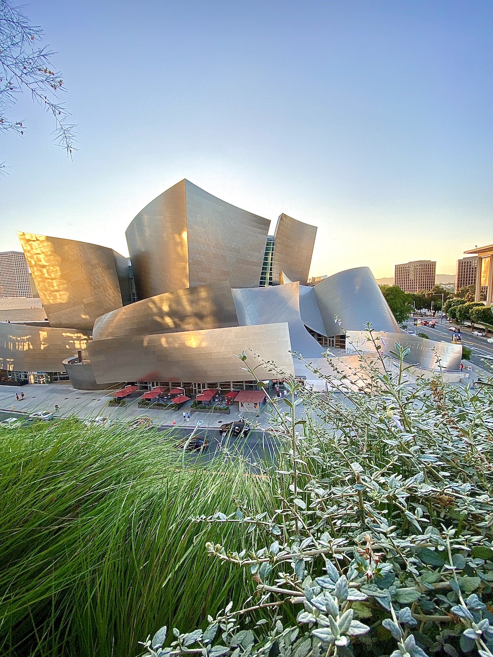 5 Must See Shows at the Walt Disney Concert Hall Grimy Goods